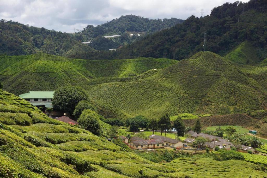 Krs Pines Hotel Cameron Highlands Buitenkant foto