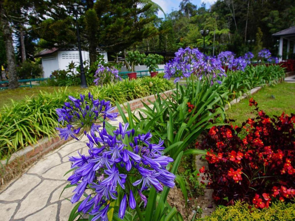 Krs Pines Hotel Cameron Highlands Buitenkant foto