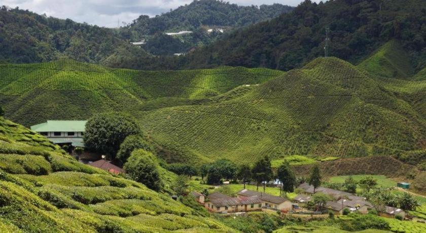 Krs Pines Hotel Cameron Highlands Buitenkant foto