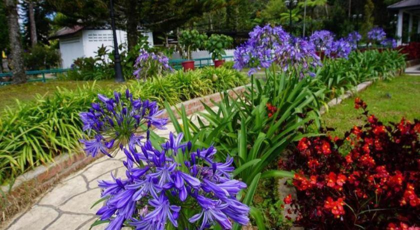 Krs Pines Hotel Cameron Highlands Buitenkant foto